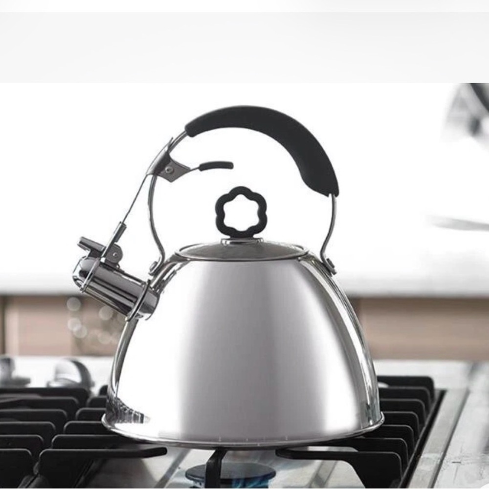 Sleek Silver Tea Kettle with Black Handle